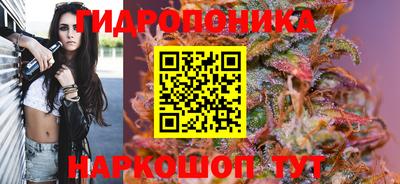 кокс Будённовск