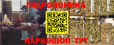 эйфоретик Бузулук