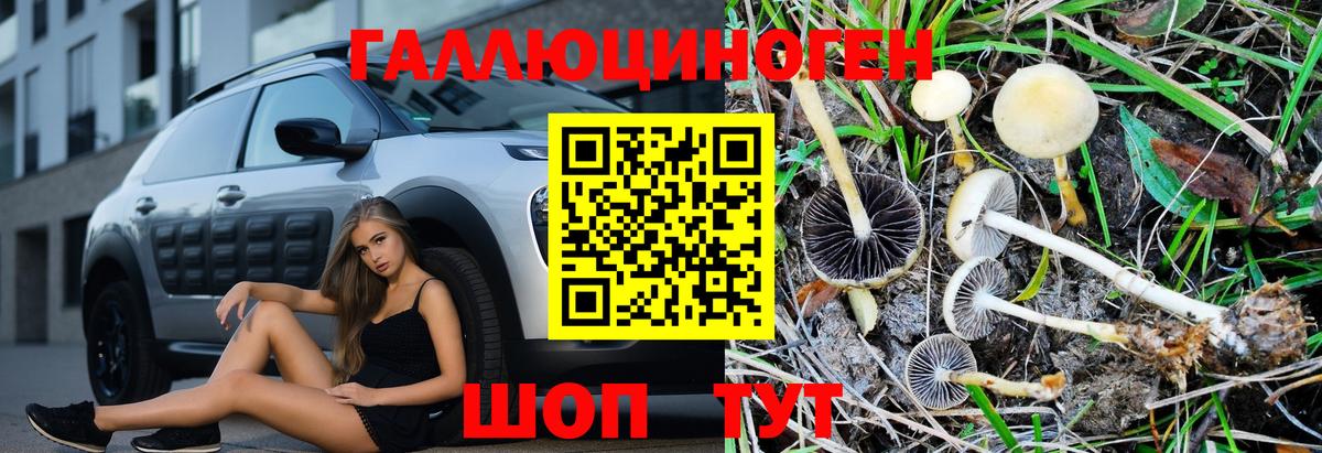 Одинцово  Псилоцибиновые грибы GOLDEN TEACHER  Вход с VPN 