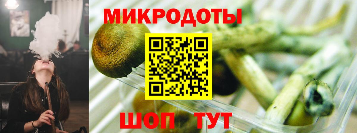Галлюциногенные грибы Psilocybe Одинцово